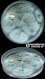 Aspergillus fumigatus
